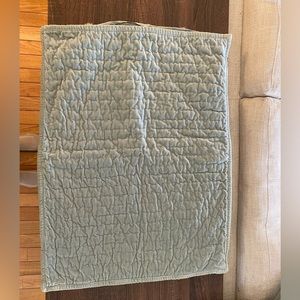 Button Close Sage Green Pottery Barn Standard Sham Set